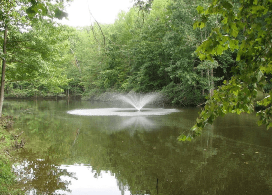 How Floating Pond Fountains Improve Water Quality